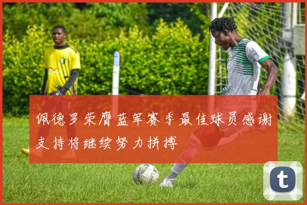 佩德罗荣膺蓝军赛季最佳球员感谢支持将继续努力拼搏